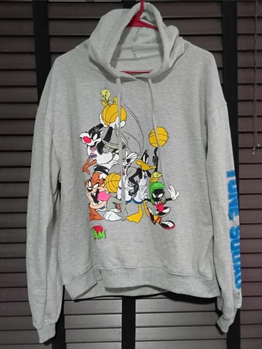 Space Jam Looney Tunes Pullover Hoodie - Unisex